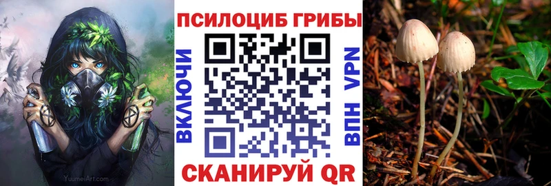 Псилоцибиновые грибы MAGIC MUSHROOMS  Галич 